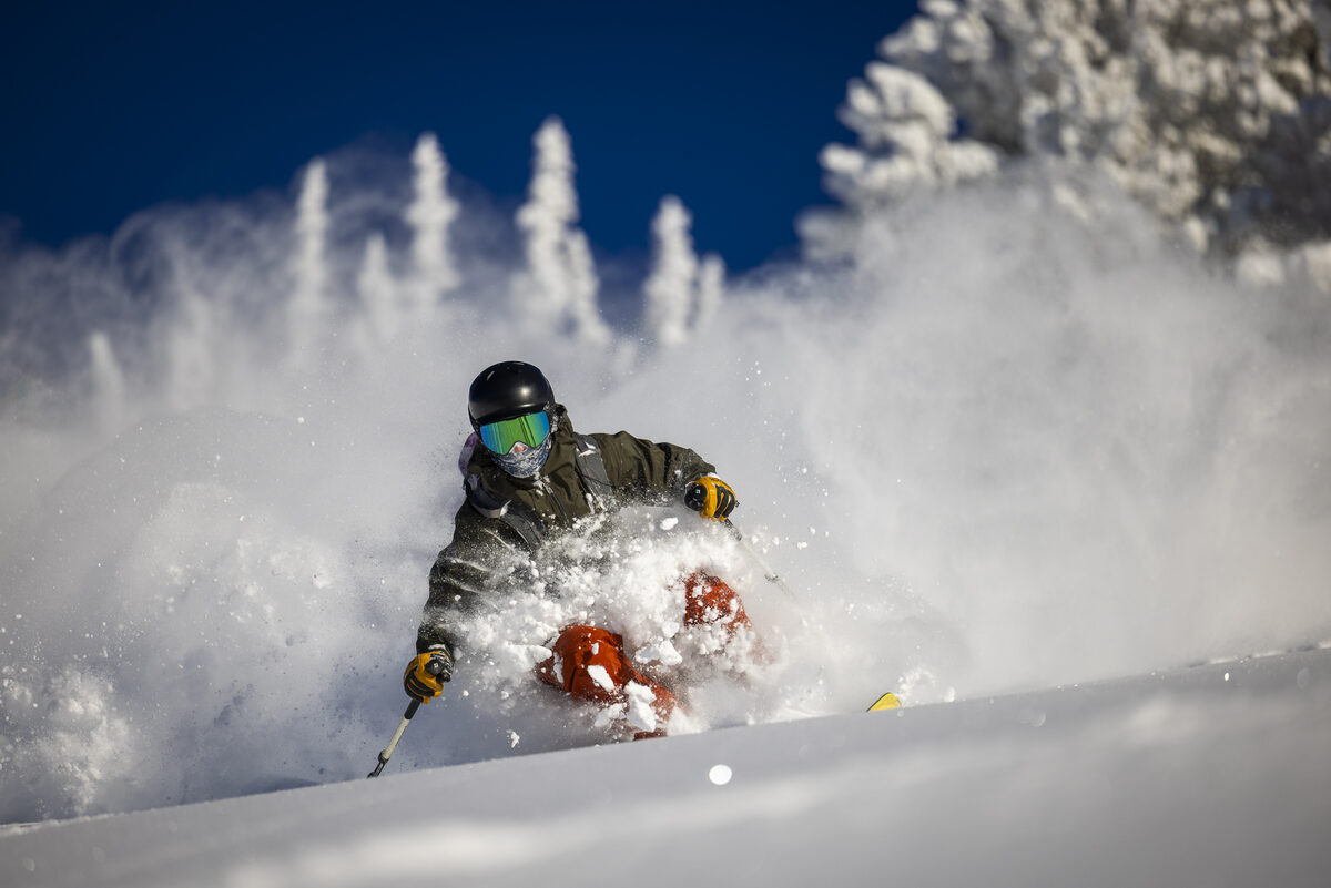 Skier turning through deep powder beneath snow-covered trees. Photo by Jay Beyer.