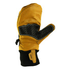 Warm Storm Mitten Palm 